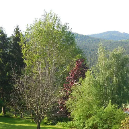 Garni Haus Am Berg Bed & Breakfast *